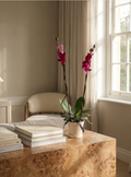 Orquídea Fucsia