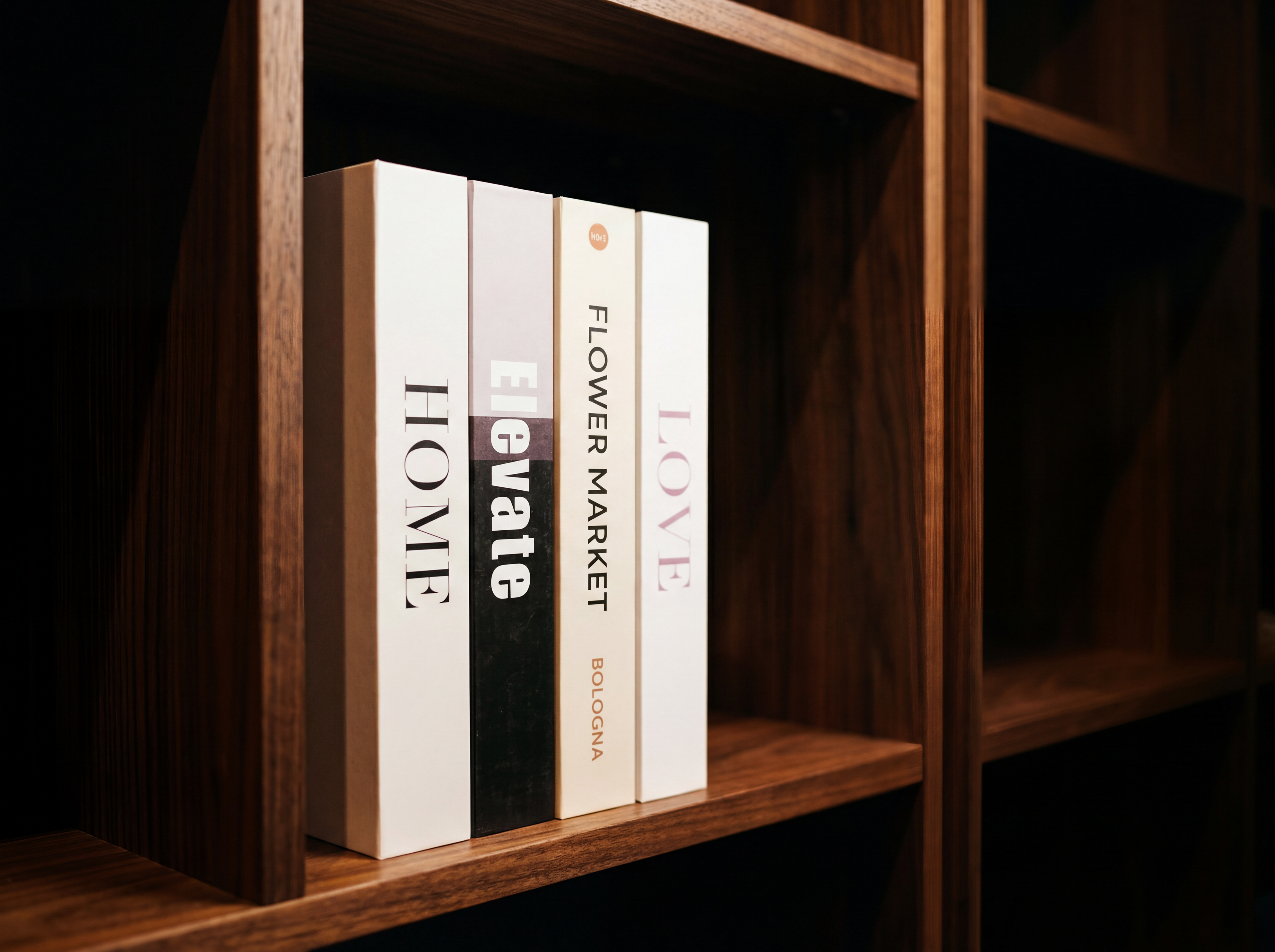 Libros decorativos