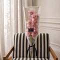 Orquídea Cymbidium Premium